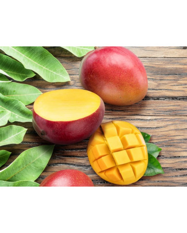 x1L 3D Mangue