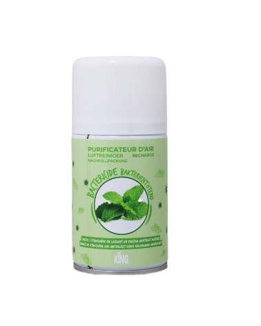 x 250 ml Recharge Bactéricide Menthe