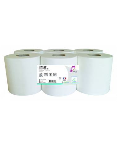Rouleaux d'essuyage dévidage central 450 formats - Ecolabel - 2 plis